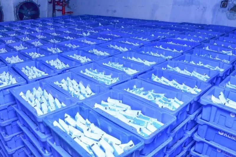 Kerala dairy procurement rose by 14%