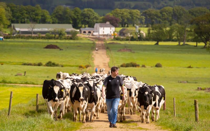 Nuevas Regulaciones de la UE Fortalecen el Poder de Mercado de los Agricultores Lácteos Irlandeses
