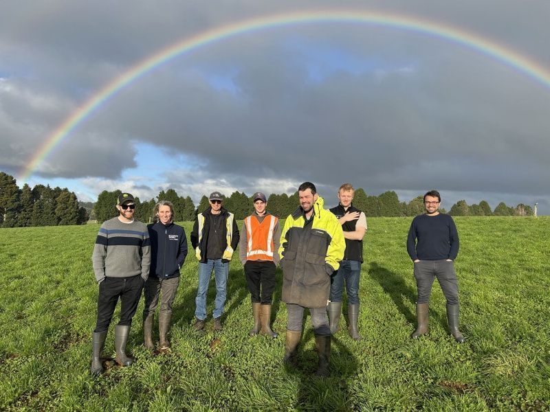 A $9.87m project tests clover in dairy pastures