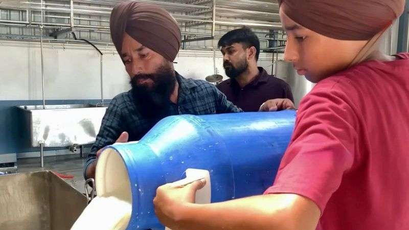 Punjab Brothers Transform Family Farm into Dairy Powerhouse