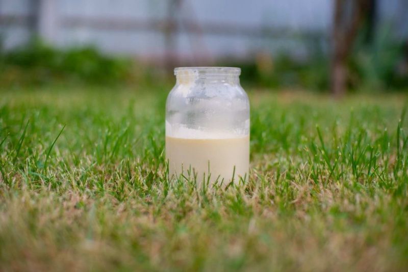 Dairy Farmers of America recibe el máximo honor de comunicación de NMPF
