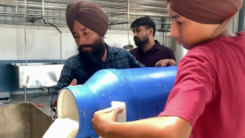 Pencap'ta Küçük Süt İşletmesi Satışlarını Aylık 27 Lakh Rupiye Çıkardı