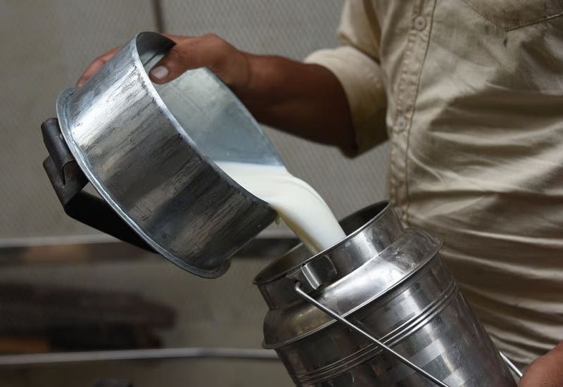 Hindistan'da 2070 Yılına Kadar Protein Talebi Süt Ürünlerine Kayacak