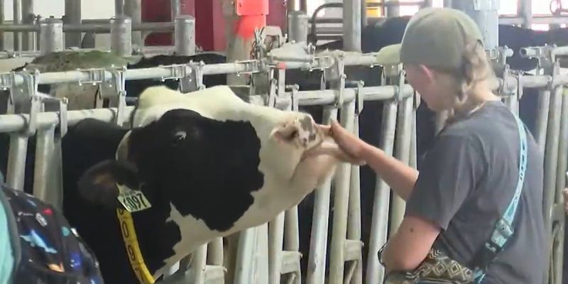 密歇根州立大学举办乳制品研究中心开放日活动
