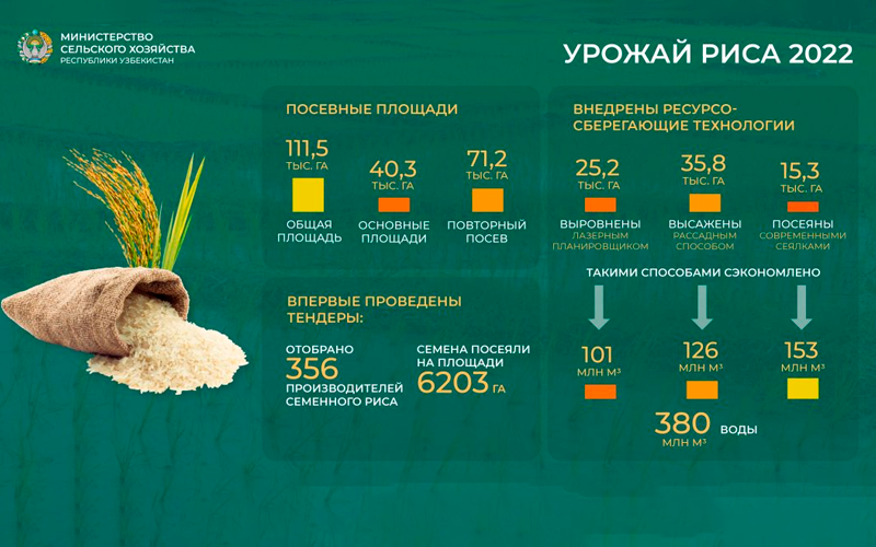 По результатам первого тендера в Узбекистане отобрано 356 производителей семенного риса