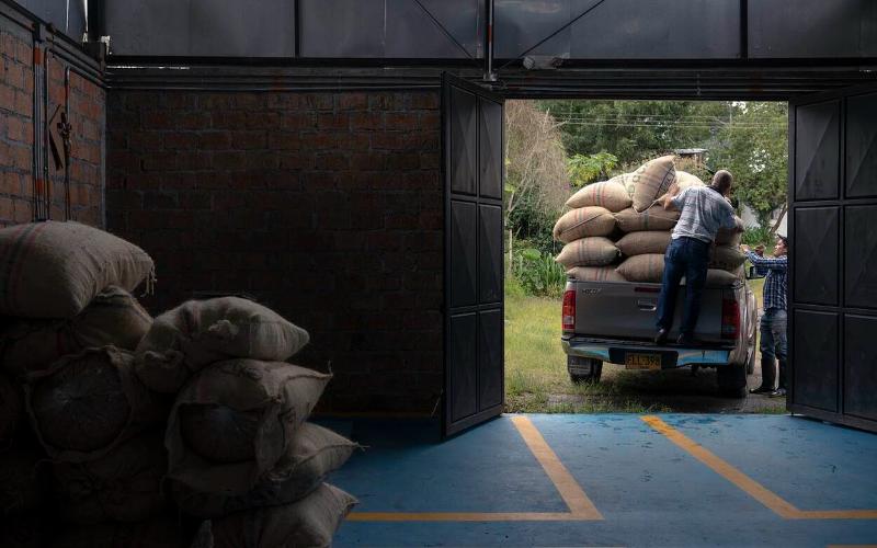 Colombian Agricultural Sector Sees Growth Driven by Dairy and Meat Demand