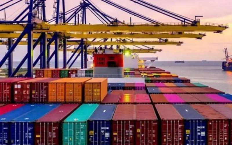 European Union to Halt Imports of Brazilian Animal Products by 2026
