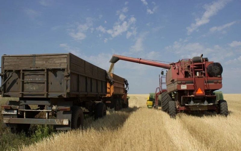 Первый урожай зерна собрали на юге Казахстана – урожайность ниже ожидаемой
