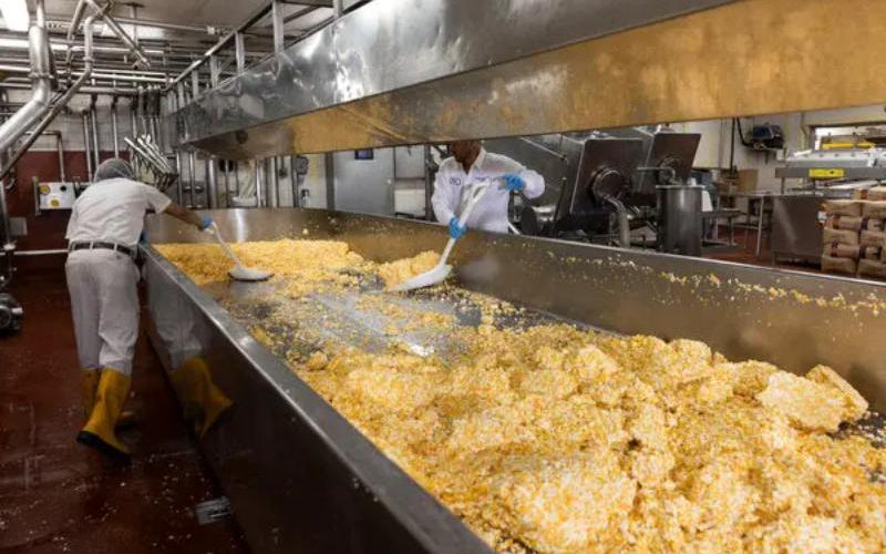 Whey Gold Rush: Protein Surge Doubling Dairy’s Revenue
