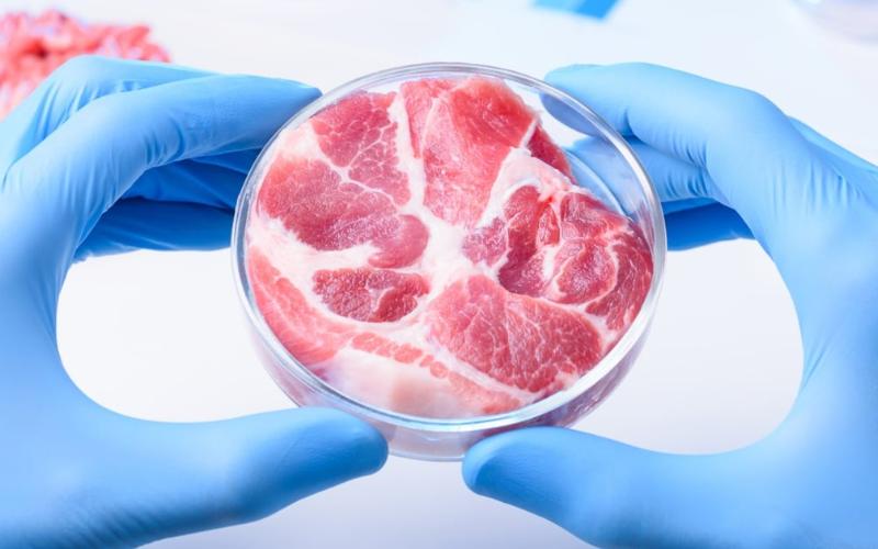 Mississippi Sets New Precedent with Ban on Lab-Grown Milk Products