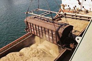 Крестьян вынуждают кормить продпшеницей скот