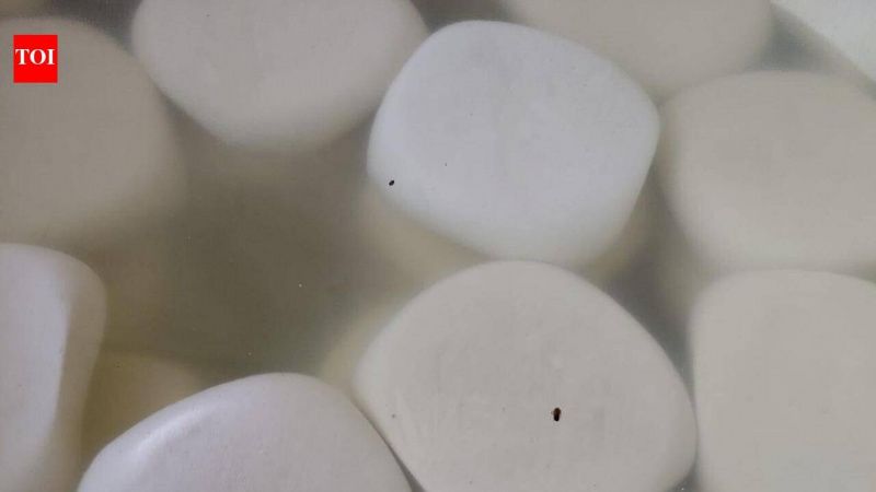 Officials Destroyed 500kg of Paneer After Palwal Inspection