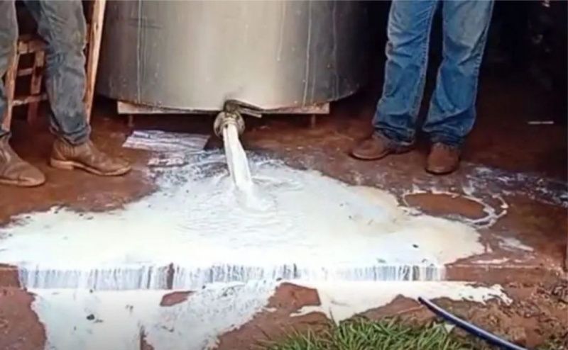 Power Failures Forced Nearly 1,000 Litres of Milk to Be Discarded