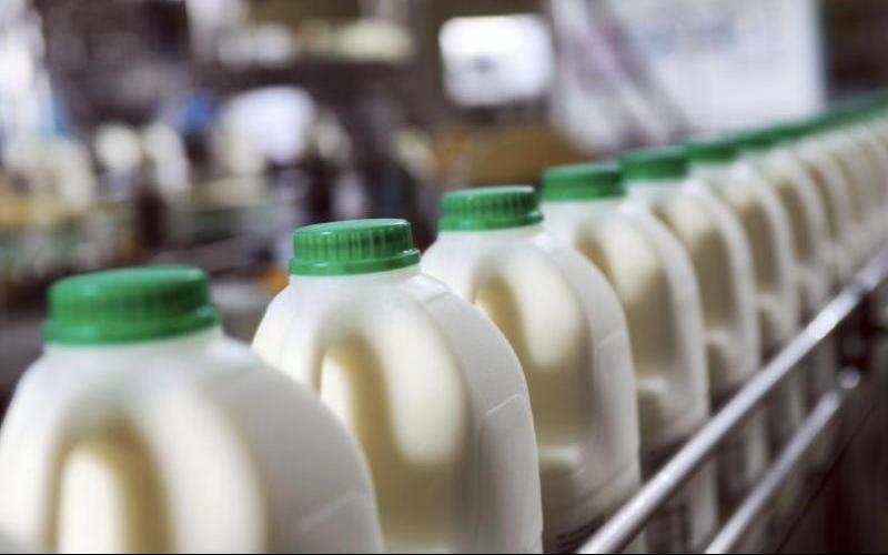 Jammu and Kashmir's $1.34 Billion Dairy Plan to Double Milk Output