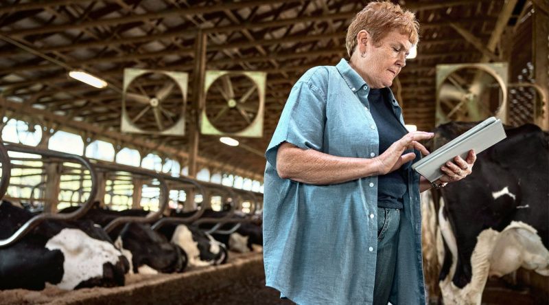 American Dairy Association North East Opens Nominations for Independent Producers