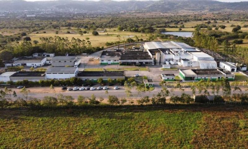 Valedourado Resumes Production After Financial Agreement