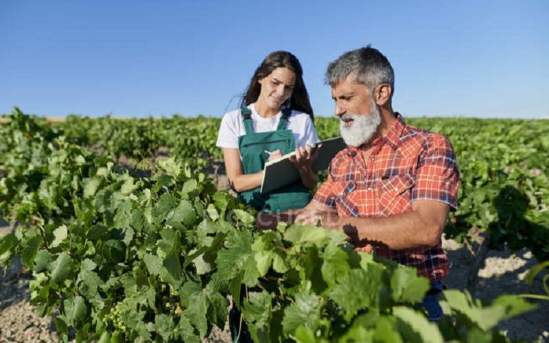 Changes in global trade impact U.S. farmers’ profit