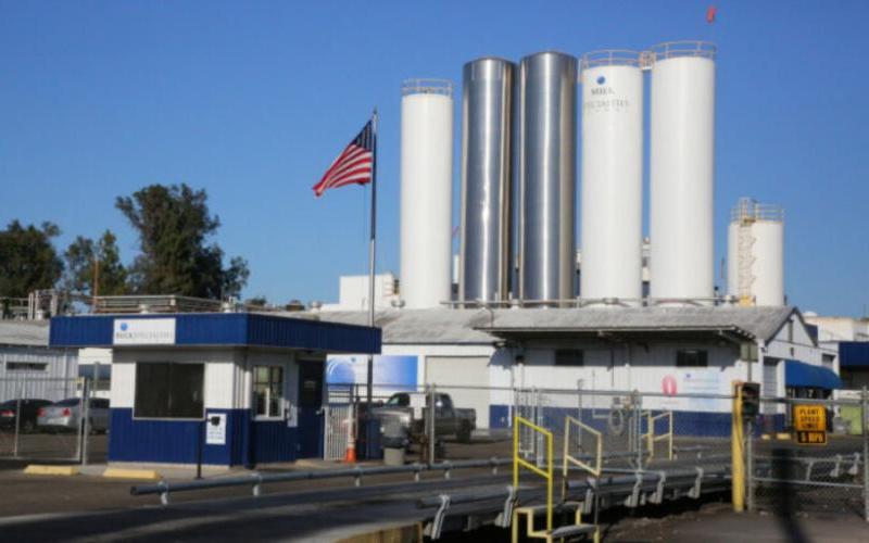 The Dairy Dilemma: Norfolk's Struggle with Actus Nutrition