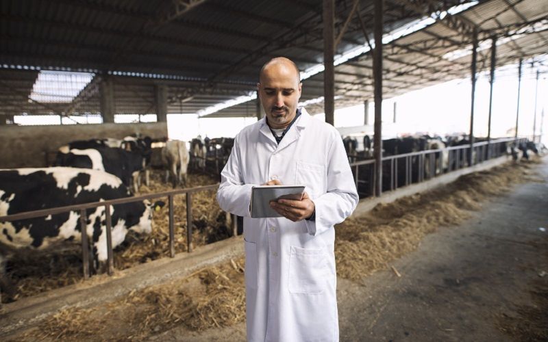 Tatarstan Restricts Import of Animals from Other Russian Regions Due to Disease Risk