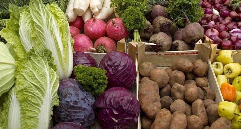 Казахстан запустит еженедельные гастрофестивали «Дала дәмі»