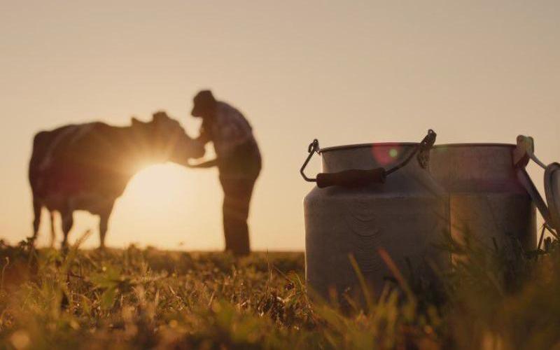 UK Farming Unions Urge Milk Processors for Transparency Amid Market Challenges
