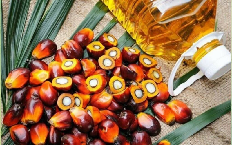 Школы и детские сады в России могут отказаться от продукции с пальмовым маслом