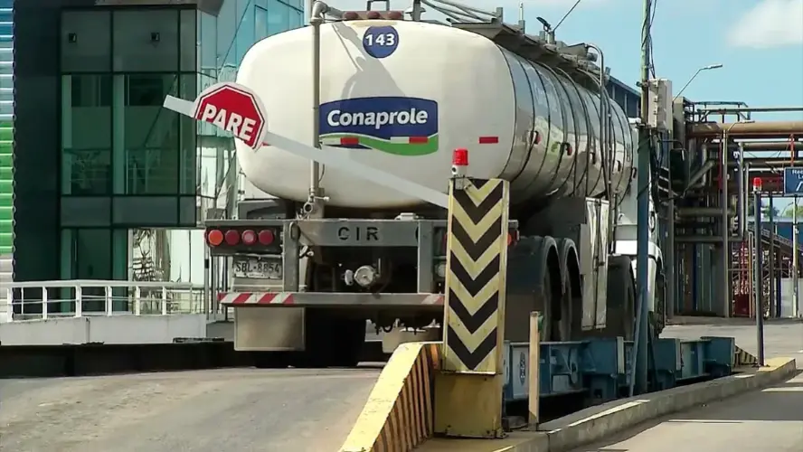 Uruguayan Producers Demand Prompt Milk Reception Amid Conaprole Strike