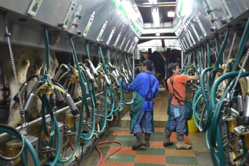 Dairy Demand Remains Robust Amid Rising Milk Production