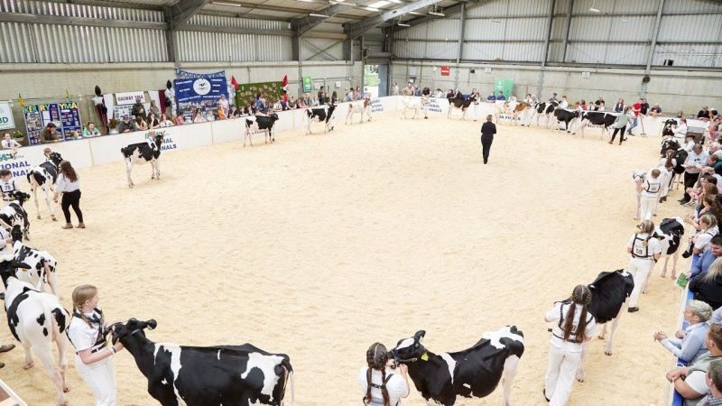 Young breeders will compete at FBD National Dairy Show