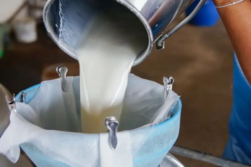Kerala Hükümeti, Süt Kooperatiflerini Şirket Rekabetine Karşı Savunuyor