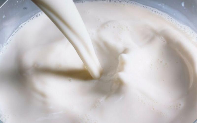 Chlorate Detected in Milk Prompts Enhanced Producer Controls in Uruguay