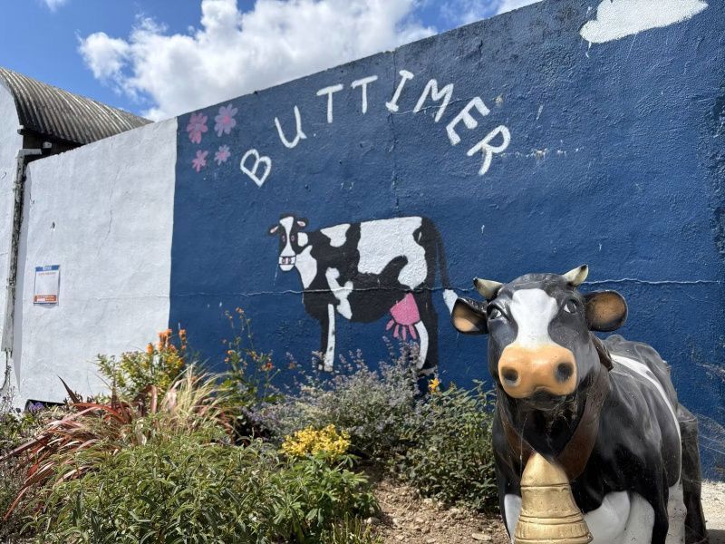 Buttimer Family's Dairy Farm Achieves Top Milk Quality in Ireland