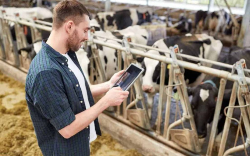 Cooperatives Drive Transformation in Rural Cattle Ranching