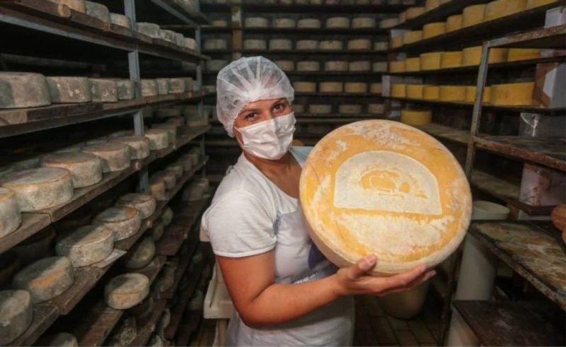 Inspection seals determine where Brazilian dairies can sell