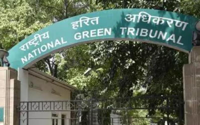 Yamuna Floodplain Cleared: No Illegal Dairies Found