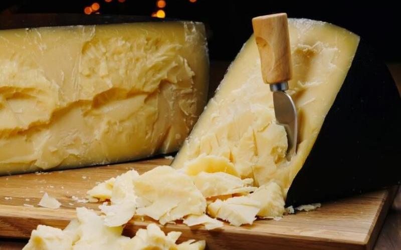 Chile's Dairy Indicators Show Promising Growth with Cheese and Value-Added Products on the Rise