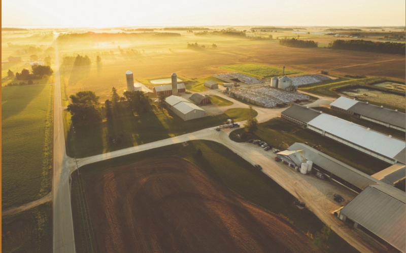 Challenges and Controversies Around Land O’ Lakes Cooperative Model