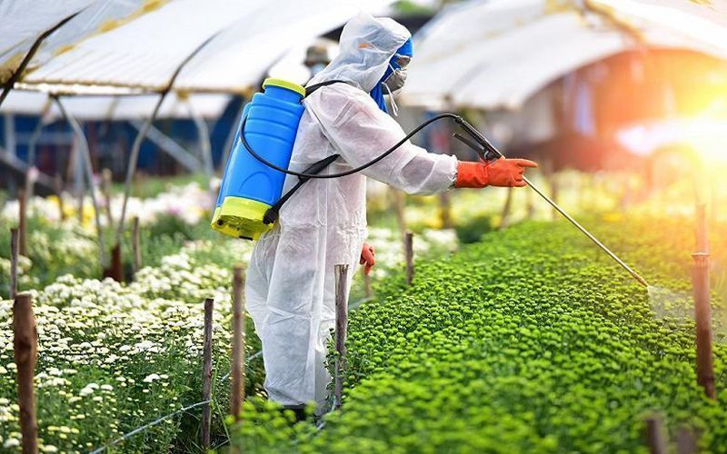 ООН настаивает на снижении мировых цен на удобрения