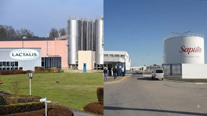 Lactalis Agreed to Buy Saputo’s UK Dairy Business