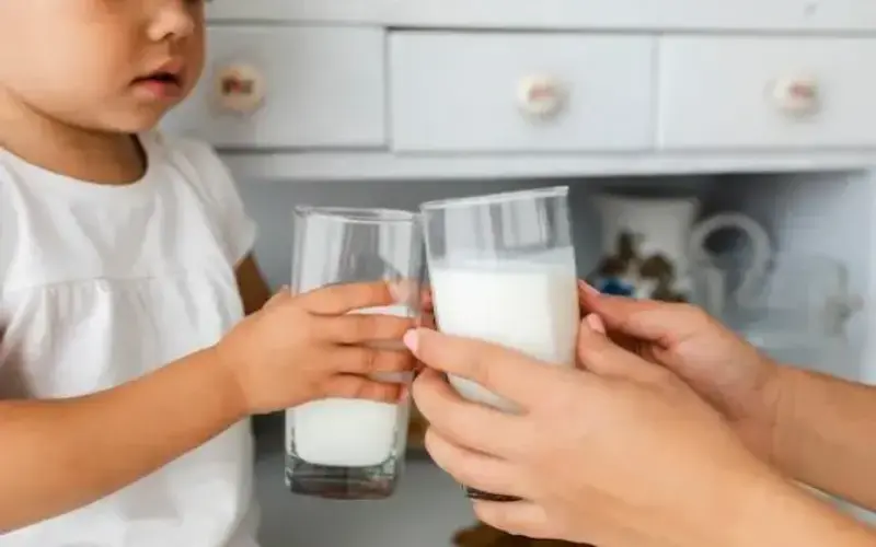 South Hamgyong Province Enhances Dairy Production for Childcare