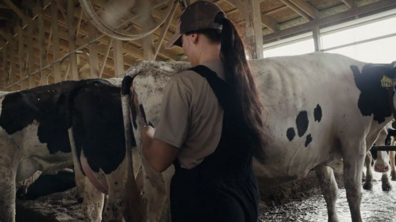 Dairy Management Inc. Profiles Seven Women Farmers