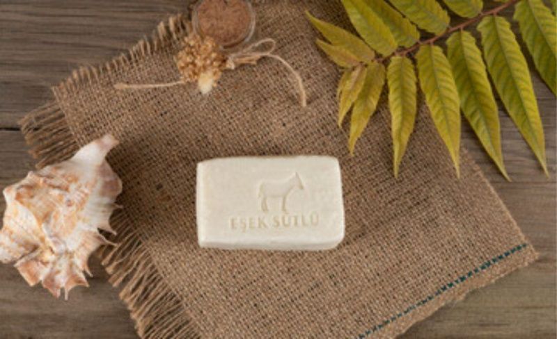 Donkey Milk Cosmetics Open a New Opportunity in Brazil’s Northeast