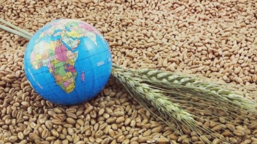 Казахстан: Основания для ограничения экспорта сельхозпродукции пропишут в законе