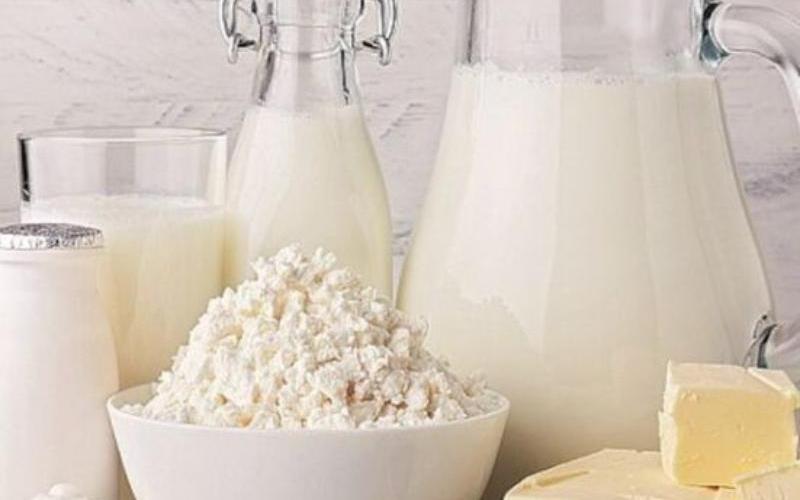 Hatsun Agro Reports Strong Financial Results Amid Focus on Value-Added Dairy Products