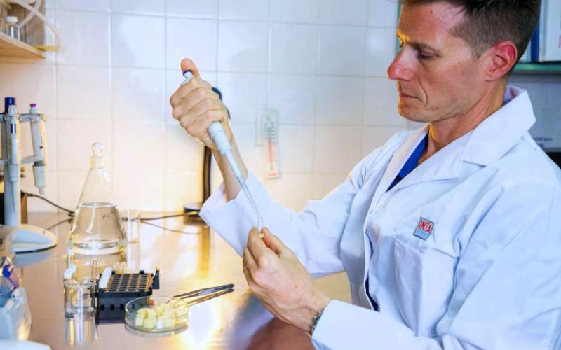 INTA desarrolla chips de mozzarella ricos en nutrientes para la nutrición escolar