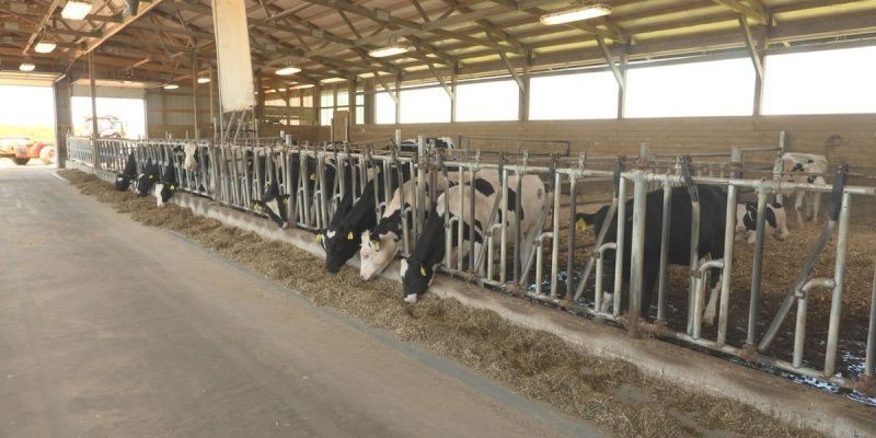 Marathon County Hosts Annual June Dairy Breakfast at NTC