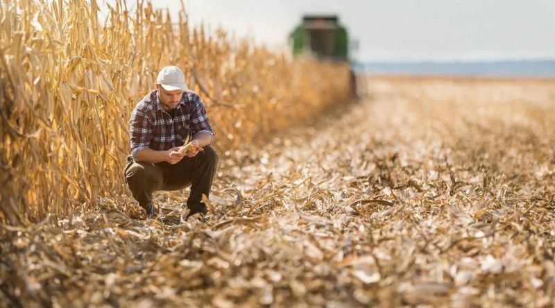 US farm bankruptcies rise nearly 19% in first nine months of 2026