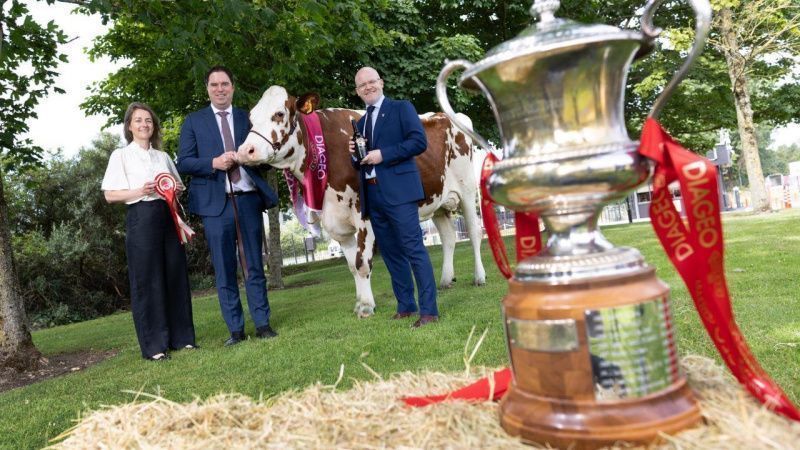 Baileys Champion Dairy Cow Competition Returns to Virginia Show