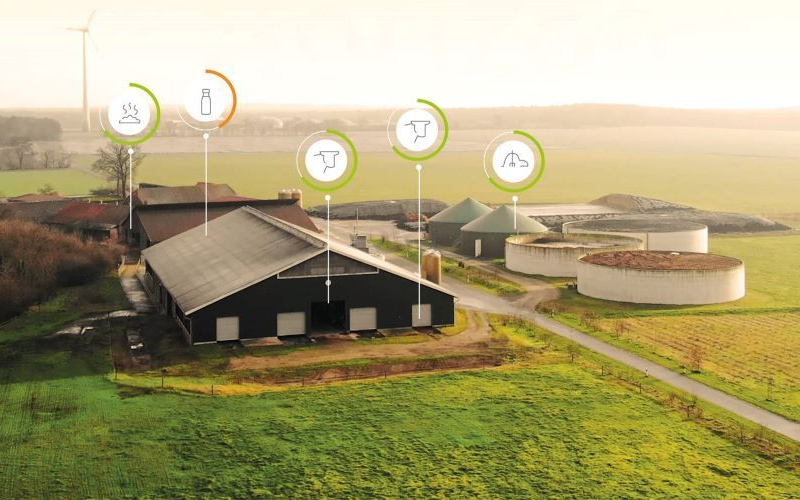€700K Boost: Dairy Farms Go Climate-Neutral with New Tech!