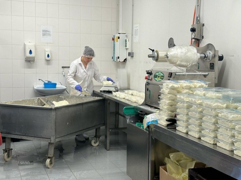 Рост закупочных цен на молоко и увеличение производства масла и сыра - итоги первой половины 2025 года